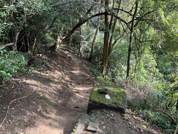 [皮皮獅探險隊-01/10] 2025_0706 六寮古道2830734