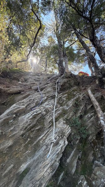 南二段 2026 03/12-17 六天五夜3018254