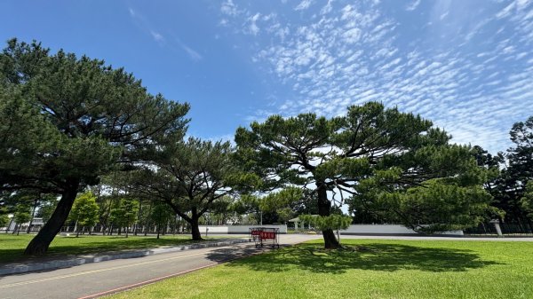 綠衫林公園2800893