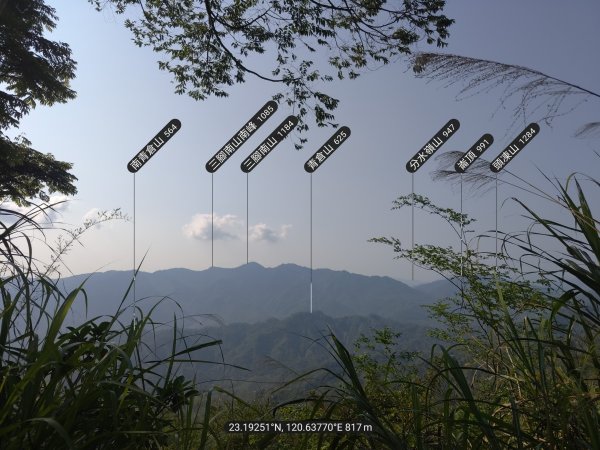 西阿里關山3033612