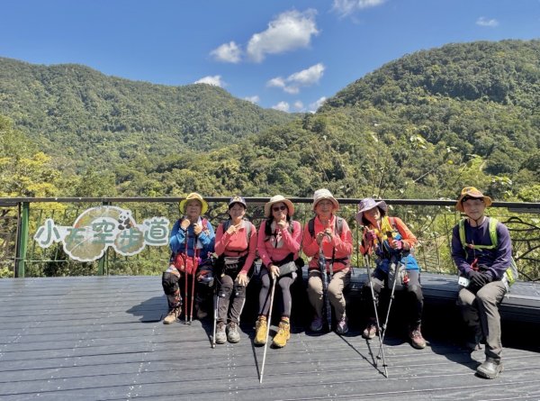 台北縱走第七段 訪獅球山 樟湖山 樟山 炮子林山3017463