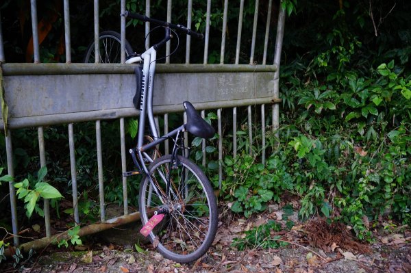 新竹關西鎮 水田林道之貴妃&那結山連走1539767