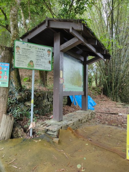 關子嶺運動+泡湯，雞籠山步道：台灣最大蜘蛛、黑端豹斑蝶、猴子、赤蛙、蜥蜴、山豬(只有聽到聲音)1708425