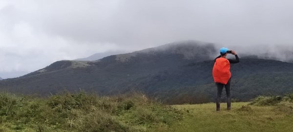 北五指山；內雙溪古道1538497