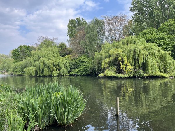 2025_0427 倫敦馬拉松順遊西歐 D9a(起點和終點)2794428