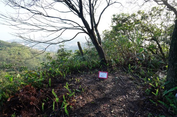基隆 仁愛 紅淡山、金交椅山2714991