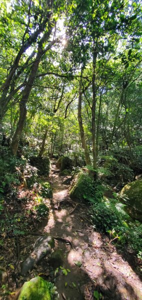 2024-10-19臺北大縱走第四段：風櫃口至大湖公園2631118