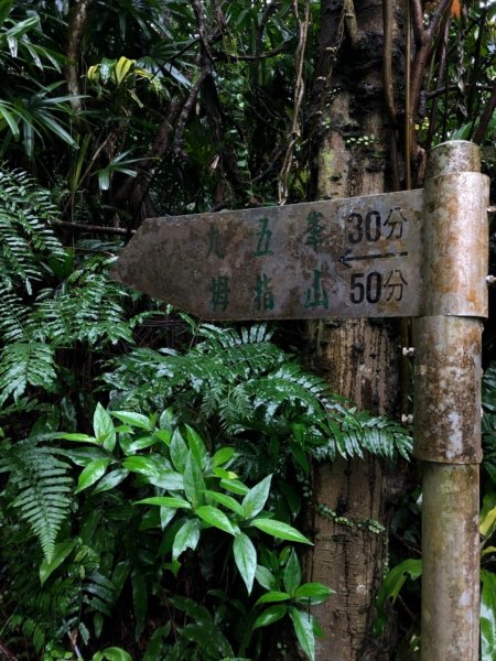 南港山縱走（中華科大登山口—象山）550421