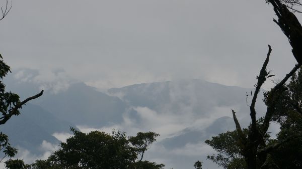 井步山(阿猴富士山)116155
