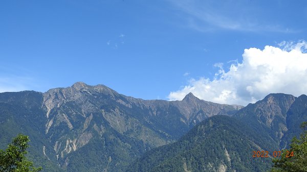 最高小百岳-大塔山2663M&阿里山二延平步道1775117