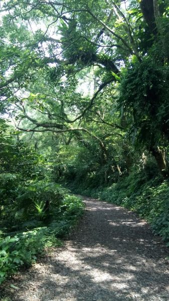 聖母登山步道O型走332320