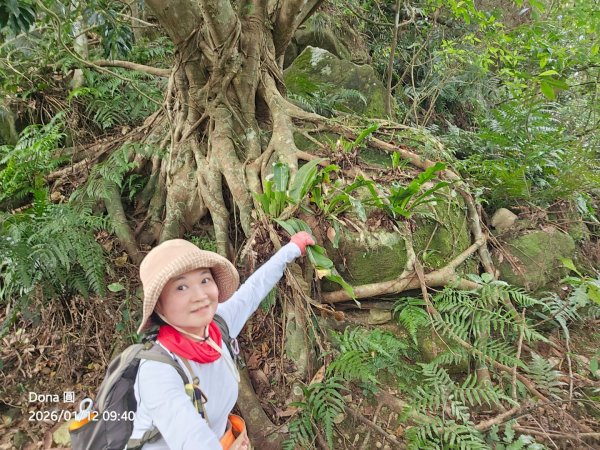 20260112月扇湖山&四分子古道O走+烏塗溪步道2986521