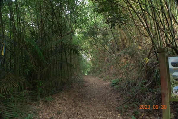 苗栗 大湖 玉女山、金童山、汶水山2301461