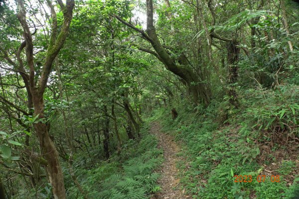 宜蘭 礁溪 鵲子山、五峰旗山、後湖子山2211636