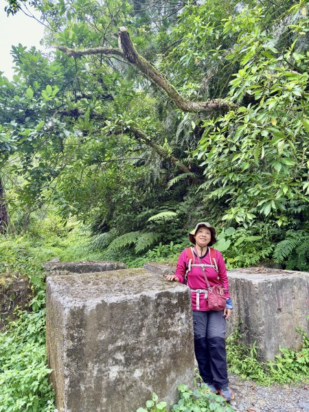 桶後越嶺道悠遊（烏來－礁溪）    2025.7.52827970