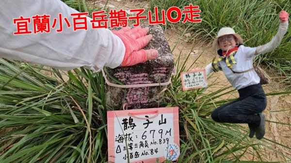 宜蘭小百岳鵲子山O走3083265