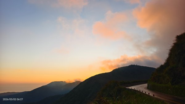 追花是簡單的快樂，賞花是恬淡的幸褔 3/2&73008750
