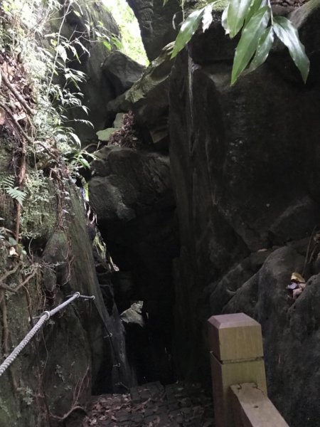 新竹五指山599742