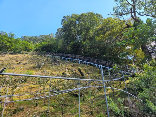 20241010千兩山群峰-象鼻山-士林山群峰2618683