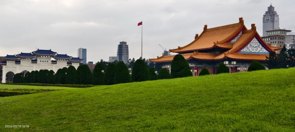 #虎山  #101大樓  #國父紀念館 #河津櫻 #中正紀念堂 2/193002705