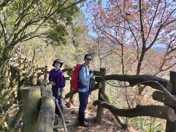 1110116 大坑四，五，三之一號步道O型一圈1584032