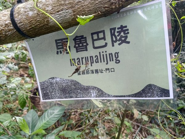 盆貿里山三盆連走2749588