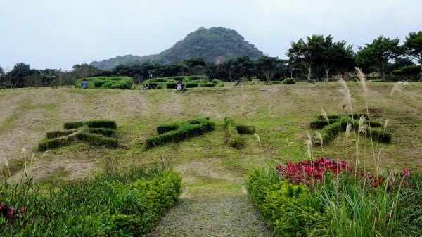 紅淡山,天外天1238360