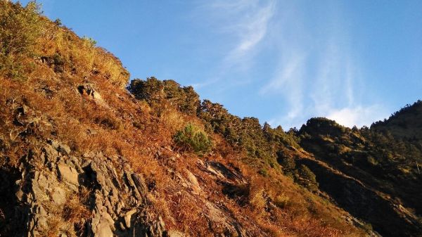 105.01.01 合歡山 北峰190328