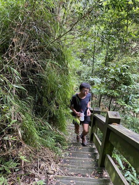20250706-EP.08四寮溪生態步道-2025森遊竹縣皮皮獅探險隊2851855