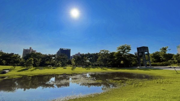 大湳森林公園2817302