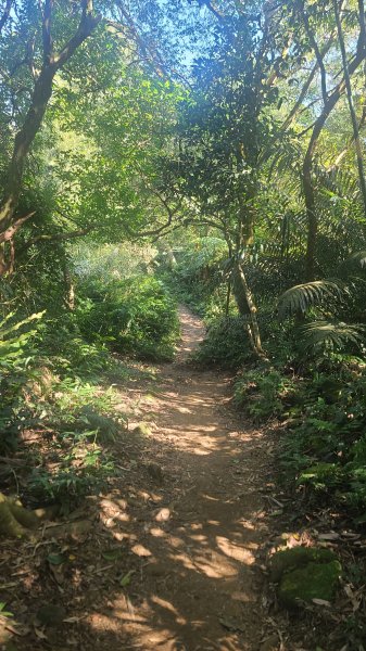 2026-0114溪州山小百岳2984883