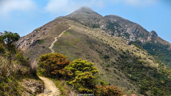 【海外健行】香港四徑 The Four Trails3031661