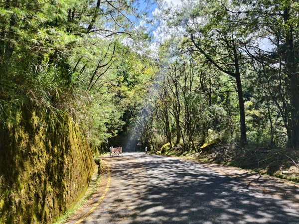 [玉山尋寶任務-09/12] 2025_0928 麟趾山步道2899867