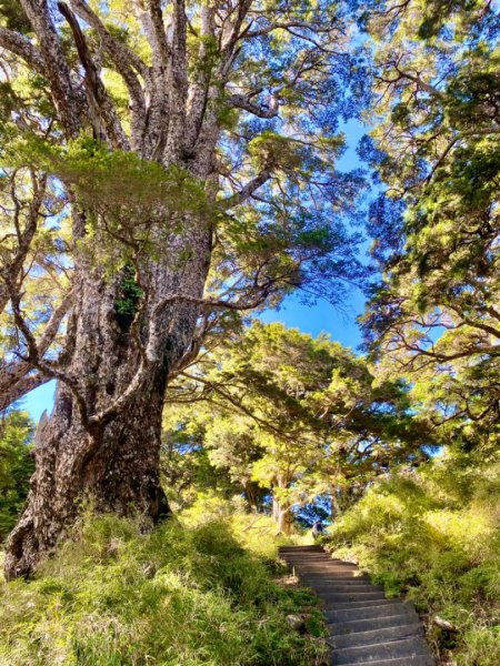 庫哈諾辛山屋包場度假《帥哥廚師到我家》關山、庫哈諾辛山二日逍遙遊2350202