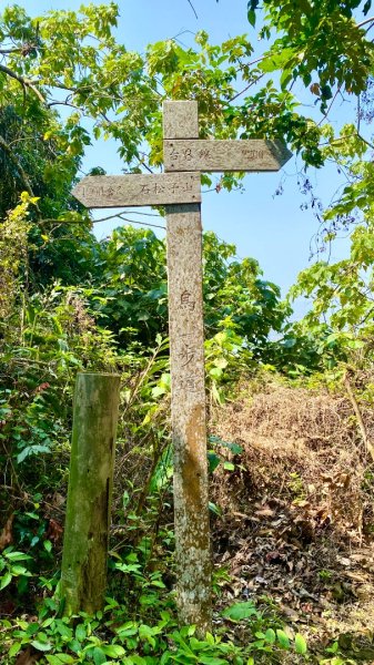 龍麟山登山步道2730748