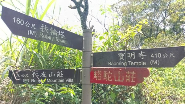 基隆市寶明寺-紅淡山-基隆廟口(吃)3085846