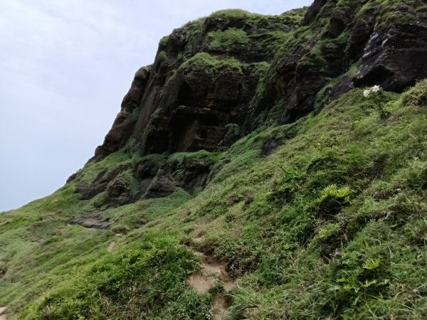 瑞芳區神秘海岸+鼻頭角燈塔+鼻頭角稜谷步道O型2760149