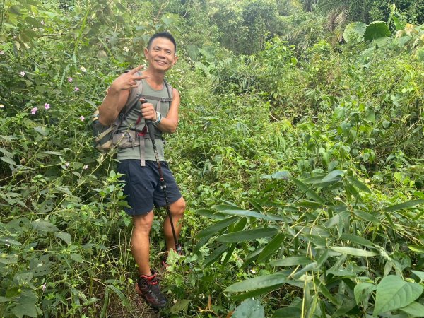 三寶山(烏心石山.鳩州嶺.尖凍山)步道【變成夢魘的大秘寶】2639860