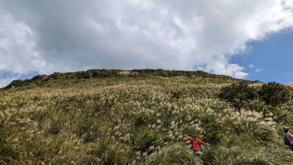 草嶺古道 灣坑頭山2357513