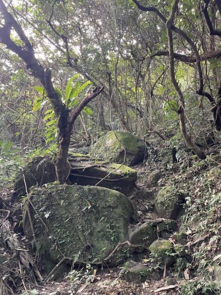 月扇湖大岩壁2952407