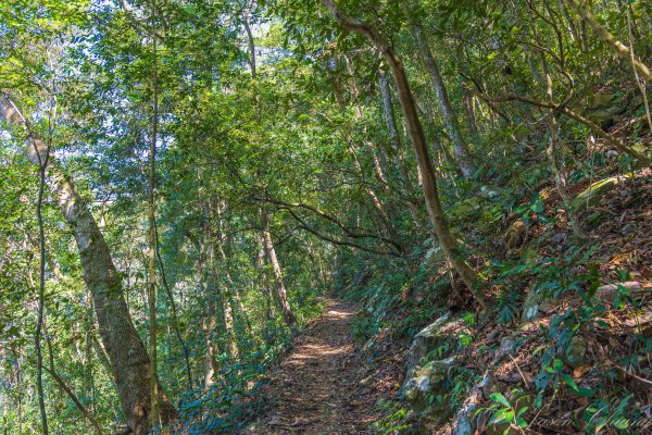 谷關七雄_唐麻丹山3015612