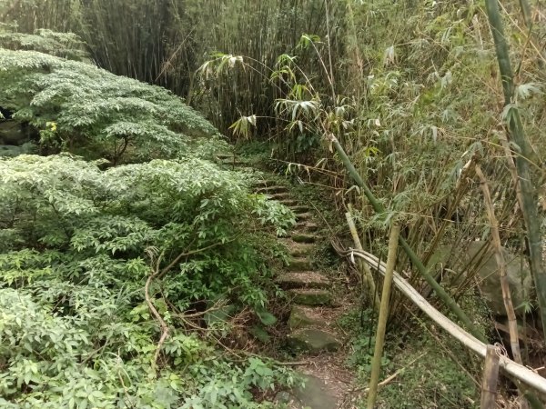 北投區大屯山西南南峰+西南峰+大屯山西峰+太子碑+清天宮步道O型2957138