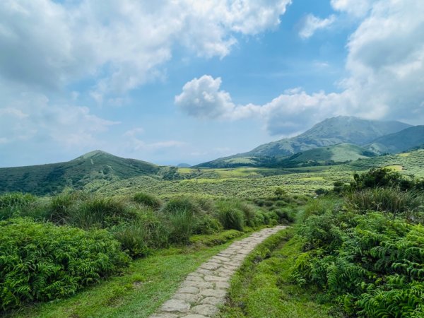 1140621冷水坑-擎天崗-石梯嶺2817703