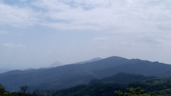 大尖山（小百岳）→四分尾山→秀峰瀑布306843