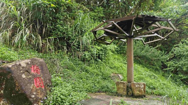 20250519石碇大崙-南勢坑山-鑽石峰-人頭面山-南勢坑大尖-小尖山主前北峰2791602