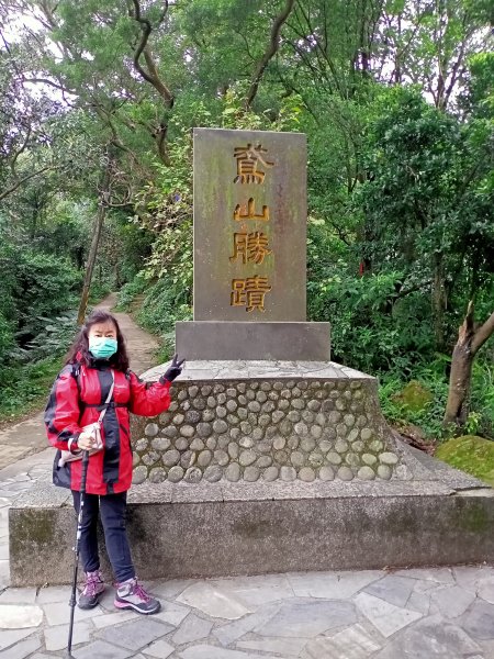 【南山神壽任務尋寶趣】鳶山彩壁、福德坑山步道【小百岳集起來】#19 鳶山登山步道1580895