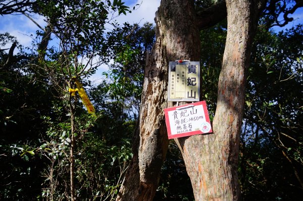 新竹關西鎮 水田林道之貴妃&那結山連走1539702