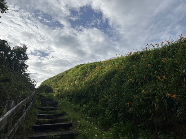 [漫遊縱谷 愛在花東-10/10] 2024_0818 太麻里金針山木馬步道（漫遊縱谷 愛在花東）2577170