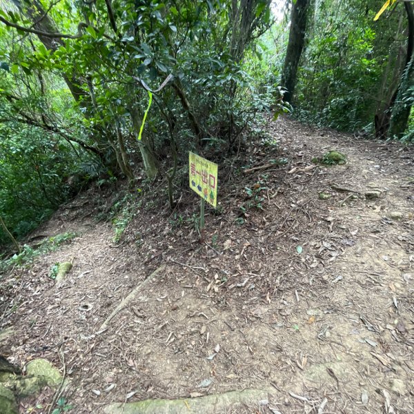 20231102_關西赤柯山（森遊竹縣）2762963