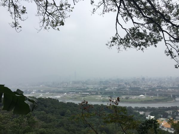 劍潭山步道231405